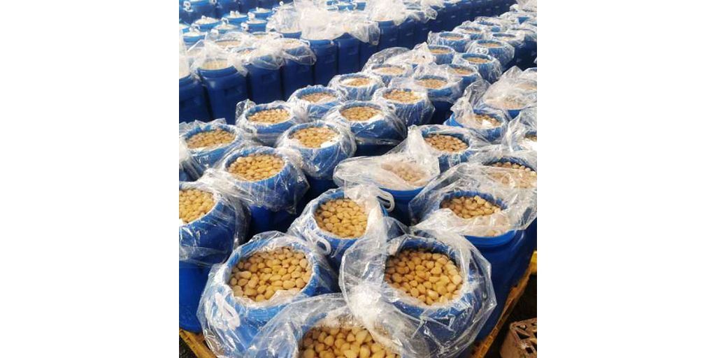 Suolavesisienten jalostus