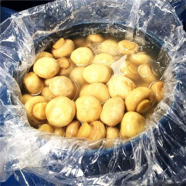 Champignon Sieni Muovirumpu